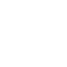 exit icon